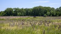 Malvern Hill, Henrico, VA