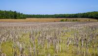 Malvern Hill, Henrico, VA