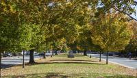 Monument Avenue Historic District, Richmond, VA