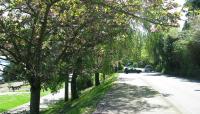 Lake Washington Boulevard, Seattle, WA