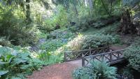 Bloedel Reserve, Bainbridge Island, WA