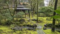 Portland Japanese Garden, Portland, WA