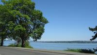 Lake Washington Boulevard, Seattle, WA