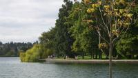 Green Lake Park, Seattle, WA