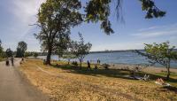 Seward Park, Seattle, WA