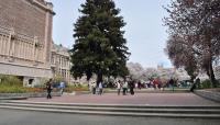 University of Washington, Seattle, WA