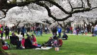 University of Washington, Seattle, WA