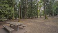 Woodland Park, Seattle, WA