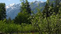 Buckner Homestead Historic District, Stehekin, WA