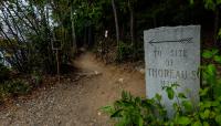 Walden Pond, Concord, MA