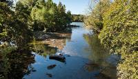 Photo courtesy Waller Creek Conservancy:: ::The Cultural Landscape Foundation