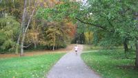 Washington Park Arboretum, Seattle, WA