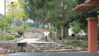 Photo by Friends of Washington Park :: ::The Cultural Landscape Foundation