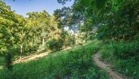 Dumbarton Oaks Park, Washington, D.C.