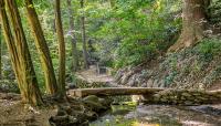 Dumbarton Oaks Park, Washington, D.C.