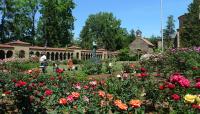 Franciscan Monastery of the Holy Land Garden, Washington, D.C.