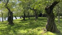 Tidal Basin, Washington, DC