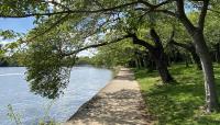 Tidal Basin, Washington, DC