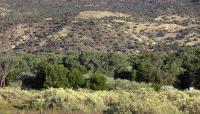 Wells Petroglyph Preserve, Velarde, NM