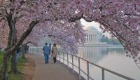 West Potomac Park, Washington, DC