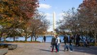 Tidal Basin, West Potomac Park, Washington, D.C.