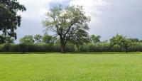 Photo by Jennifer Livingston::2013::The Cultural Landscape Foundation