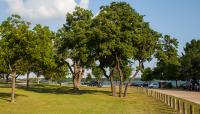 White Rock Lake, Dallas, TX