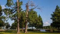 White Rock Lake, Dallas, TX