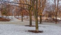 Withrow Park, Toronto