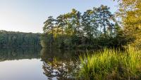 Historic Yates Mill County Park, Raleigh, NC