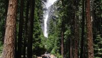 Western Trail at Yosemite Falls, Yosemite National Park, CA