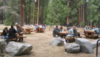 Picnic Area, Yosemite Falls, Yosemite National Park, CA