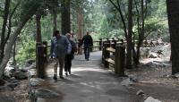 Main Bridge East Approach, Yosemite National Park, CA