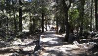 Yosemite Falls Trail, Yosemite National Park, CA