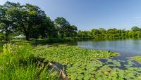 Jackson Park, Chicago, IL