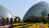Mitchell Park Domes