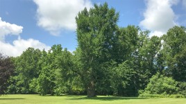 Vanderbilt Mansion National Historic Site, Hyde Park, NY 