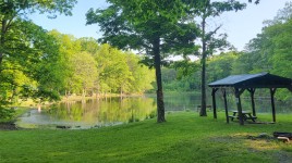 Ferncliff Forest, Rhinebeck, NY 