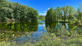 Holden Arboretum