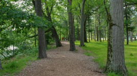 Shaker Lakes