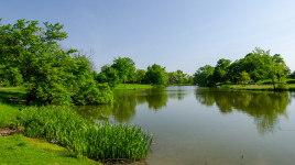 Lake bordered by lush trees and grasses