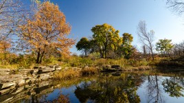 Pond with stone border with shrubs and grass around it. Trees in the background.