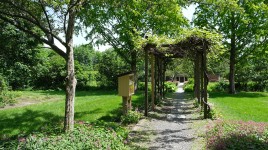 Path through a grapevine arbor