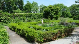 Box hedges with path around it