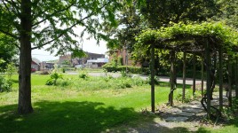 Grapevine arbor on the right; lawn to the left with buildings in distance