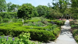 Hedgerows and a path