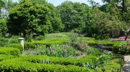 Path on the right, box hedges on the left; house in distance