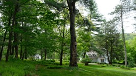 House and small cottage surrounded by grove of trees