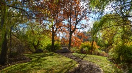 Grave marker boulder surrounded by trees with dirt path