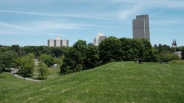Rolling lawn lined by trees; buildings in the distance
